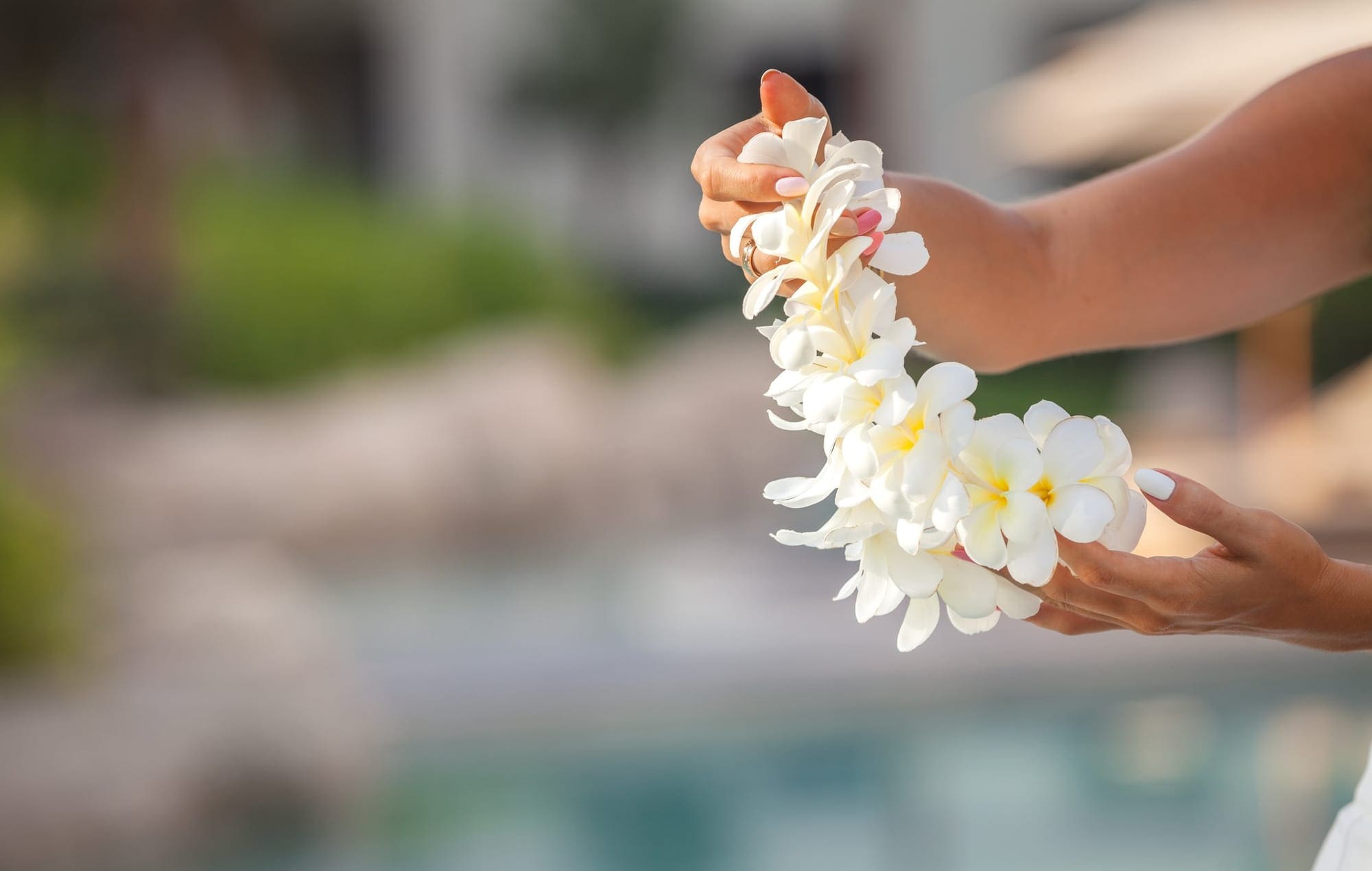 Aloha Lei Greeting | Traditional Hawaiian Welcome at Honolulu Airport